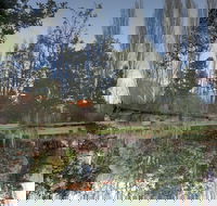 Giants' Table and Cottages - Foster Accommodation