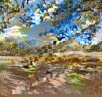 Kings Plains Creek campground - Foster Accommodation