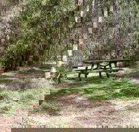 Mulloon Creek campground - Foster Accommodation