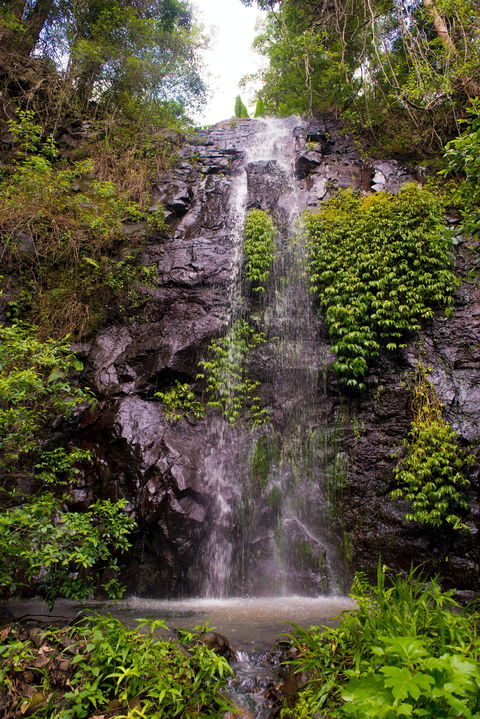 Nimbin Waterfall Retreat - Foster Accommodation 0