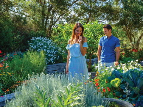 Olio Bello Lakeside Glamping - Foster Accommodation 1