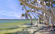 Shoal Cape Camp At Stokes National Park - thumb 0