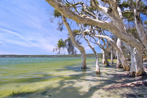 Shoal Cape Camp At Stokes National Park - Foster Accommodation 0