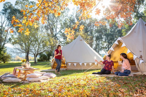 Valley View Glamping - Foster Accommodation 0