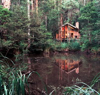Woodlands Rainforest Retreat - Foster Accommodation