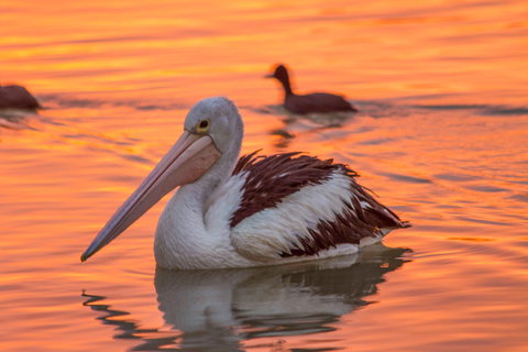 4 Pelican Court - River Shack Rentals - Foster Accommodation 0