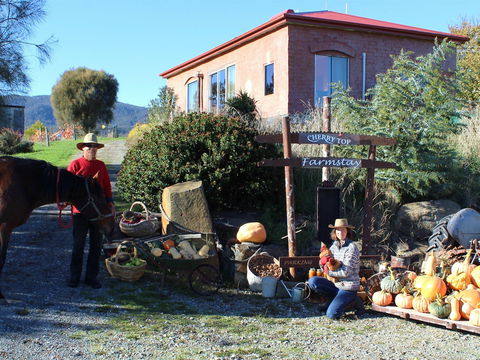 Cherry Top Accommodation - Cherry Top - Foster Accommodation 0
