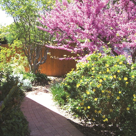 Country Gardens Motor Inn - Foster Accommodation 1