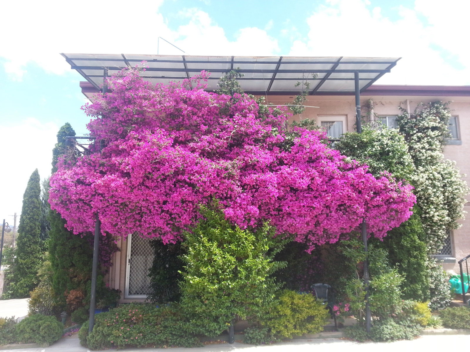 Queanbeyan NSW Foster Accommodation