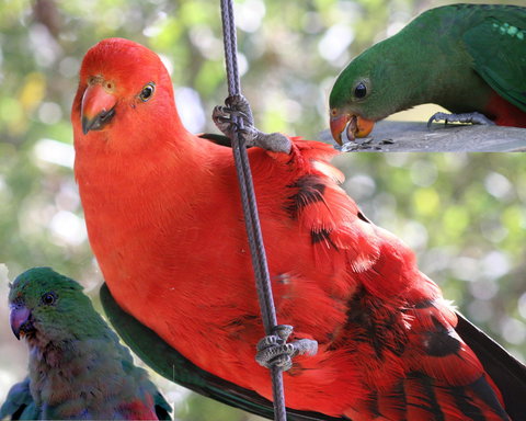 Goldsmith's In The Forest - Foster Accommodation 2