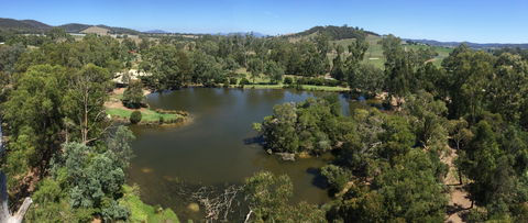 The Burrow At Wombat Bend Bed And Breakfast - Foster Accommodation 1