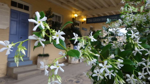 The Globe Inn - Foster Accommodation 1