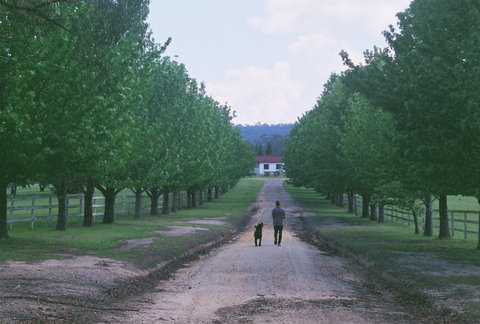 The Oaks Ranch And Country Club - Foster Accommodation 1