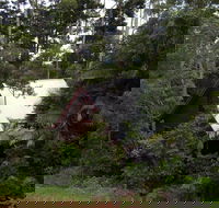 Turkeys Nest Rainforest Cottages Mt Glorious - Foster Accommodation