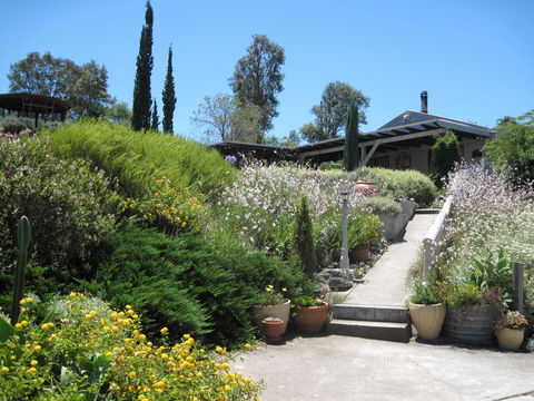 Valley View Cottage Hunter Valley - Foster Accommodation 0