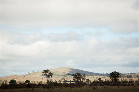 Aurelias Farm Bed And Breakfast - Foster Accommodation 1