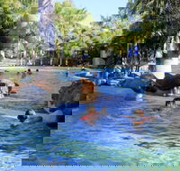 Big4 Aussie Outback Oasis Holiday Park - Foster Accommodation