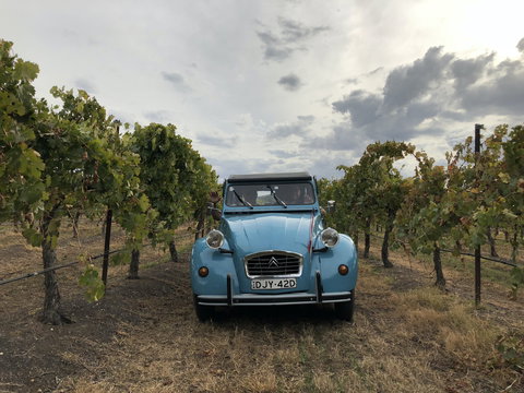 Birches Bed And Breakfast Mudgee - Foster Accommodation 2