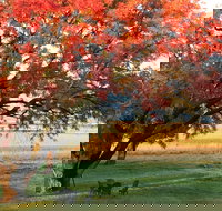 Little Kickabell Country Homestead - Foster Accommodation