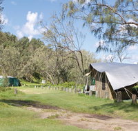 Pebbly Beach campground - Yuraygir National Park - Foster Accommodation