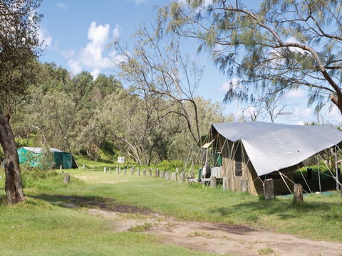Pebbly Beach Campground - Yuraygir National Park - Foster Accommodation 0