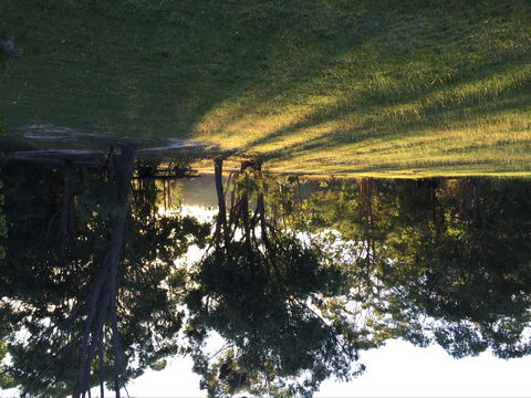 Possum's Hollow And Hooter's Hut - Foster Accommodation 0
