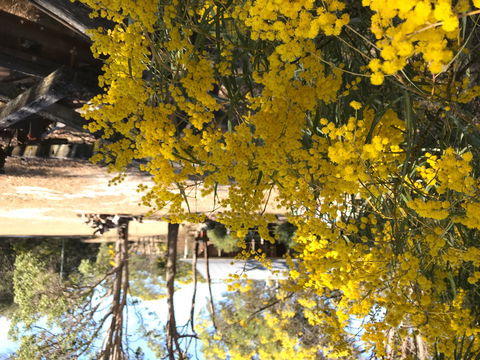 Possum's Hollow And Hooter's Hut - Foster Accommodation 1