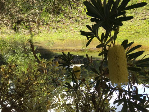 Possum's Hollow And Hooter's Hut - Foster Accommodation 2