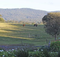 Wallaby Cottage - Foster Accommodation