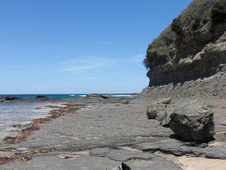 Dolphins Point Tourist Park - Foster Accommodation 4