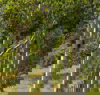 Stringybark Cottages - Foster Accommodation