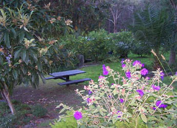 Sunway Farm B And B And Tours - Foster Accommodation 2