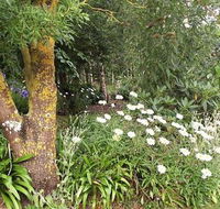 Springbank Bed and Breakfast - Foster Accommodation