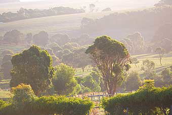 Mackas Farm - Foster Accommodation 0