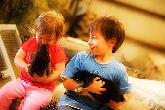 Mackas Farm - Foster Accommodation 1