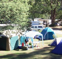 Black Spur Motel and Caravan Park - Foster Accommodation