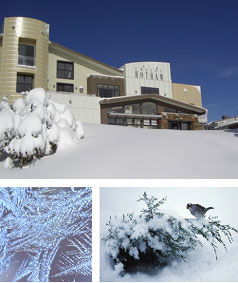 Chalet Hotham - Foster Accommodation 0