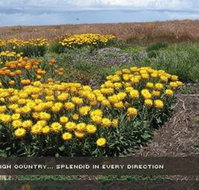 Alpine View Apartments - Foster Accommodation