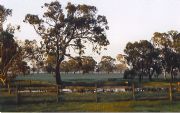 Ardwick Homestead - Foster Accommodation 1
