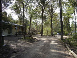 Nicholson VIC Foster Accommodation