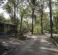 Lakes Bushland Caravan Park - Foster Accommodation