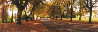 La Trobe At Beechworth - Foster Accommodation 0