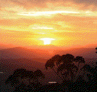 Avocado Sunset - Foster Accommodation