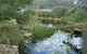 Crabapple Lane Bed & Breakfast - thumb 2