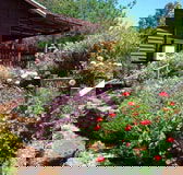 Chestnut Brook Cottage