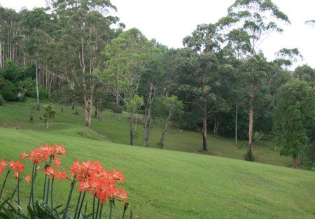 Woodridge Park Country Retreat - Foster Accommodation 3