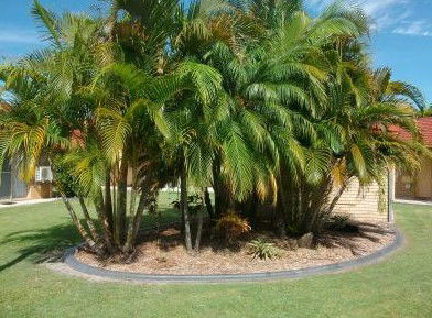 Yamba Motor Inn - Foster Accommodation 5
