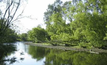 Ribbonwood Cottages - Foster Accommodation