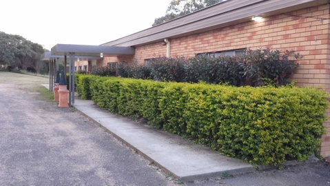 AA Hilldrop Motor Inn - Foster Accommodation 4