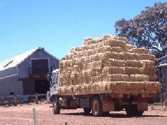 Avondale Discovery Farm - Foster Accommodation 1
